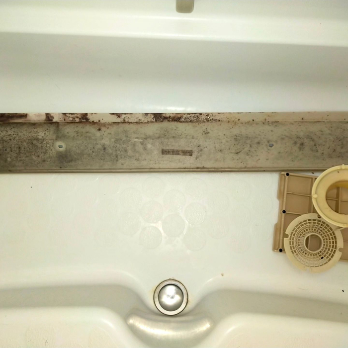 画像548